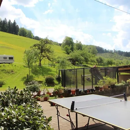 شقة Blumenwiese *