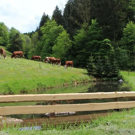 Blumenwiese أوبيرهارميرسباخ