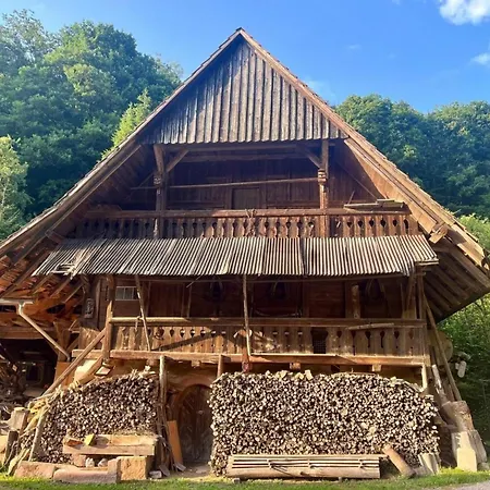 Blumenwiese شقة أوبيرهارميرسباخ