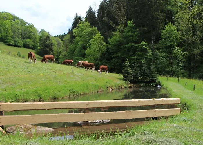Blumenwiese Oberharmersbach
